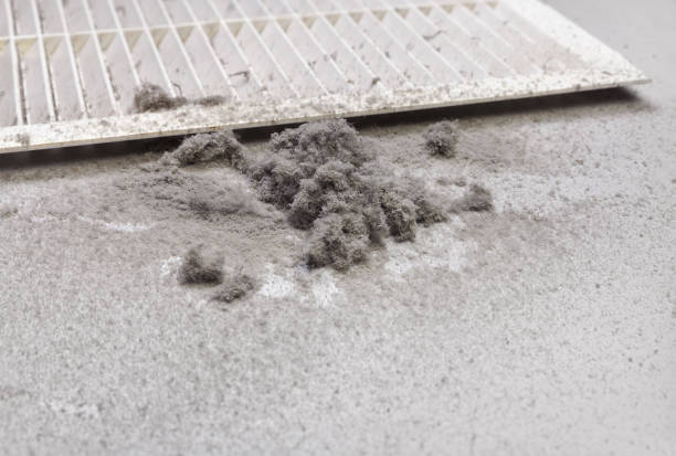 Best Professional Duct Cleaning Services  in Shingletown, CA
