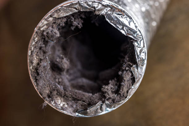 Best HVAC Air Duct Cleaning  in Shingletown, CA